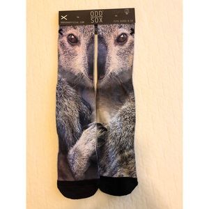 ODDSOX koala bear print crew socks
